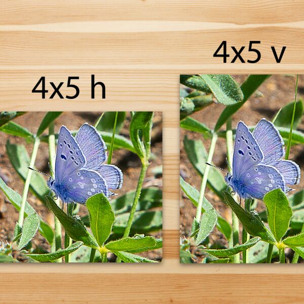 4x5 Photo Print Thumbnail