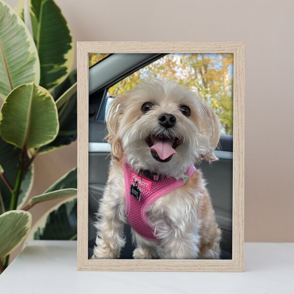 5x7 Photo Print Thumbnail