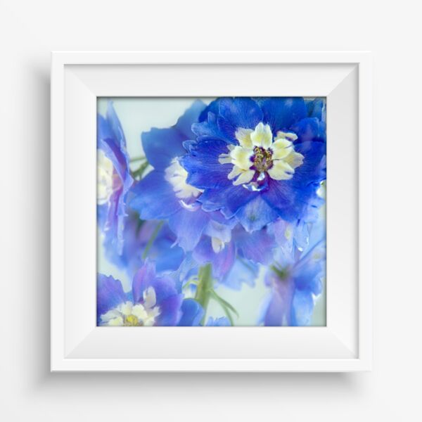 10x10 Photo Print Thumbnail