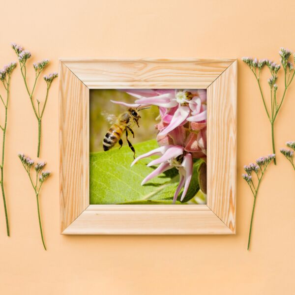 12x12 Photo Print Thumbnail