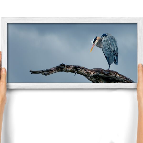 12x24 Photo Print Thumbnail