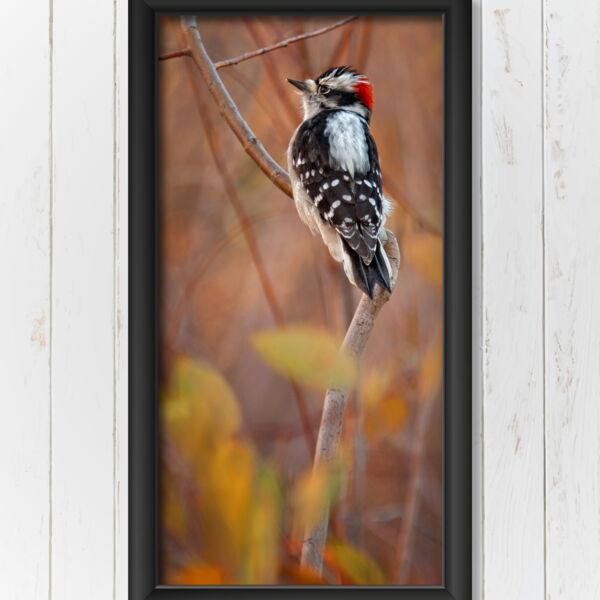 15x30 Photo Print Thumbnail