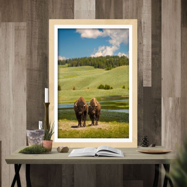 20x30 Photo Print Thumbnail