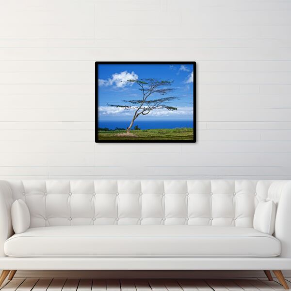 24x30 Photo Print Thumbnail