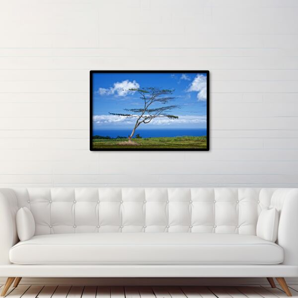 24x36 Photo Print Thumbnail