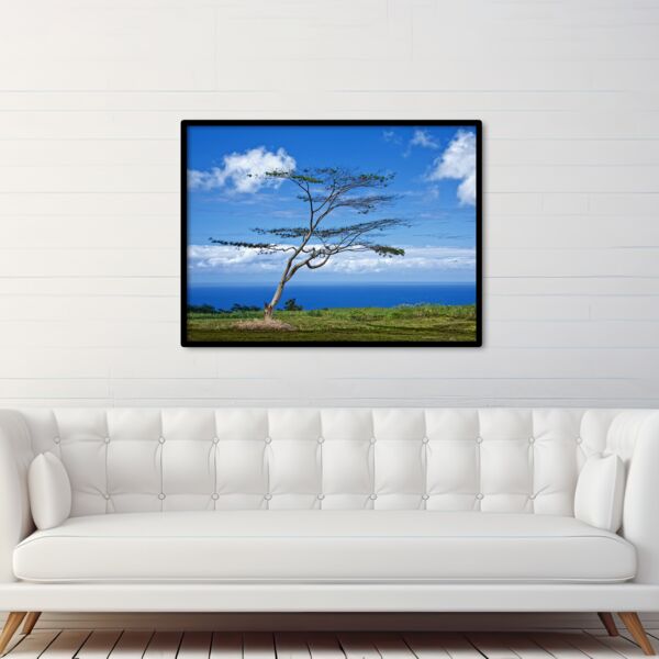 30x40 Photo Print Thumbnail