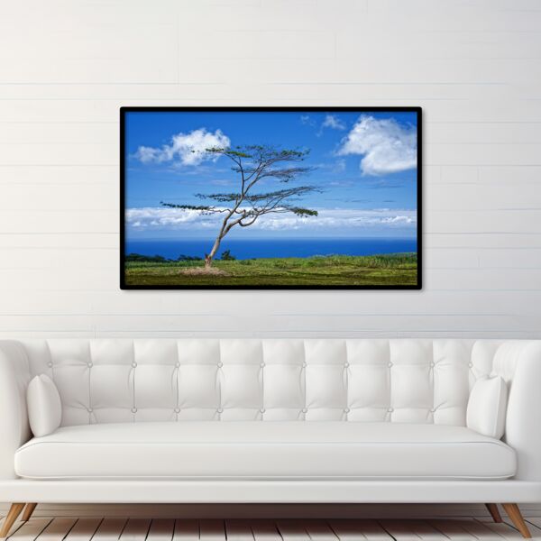 30x50 Photo Print Thumbnail