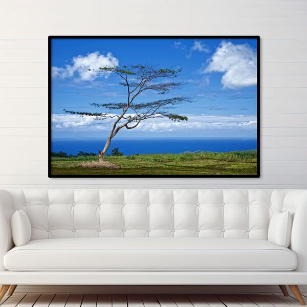 40x60 Photo Print Thumbnail