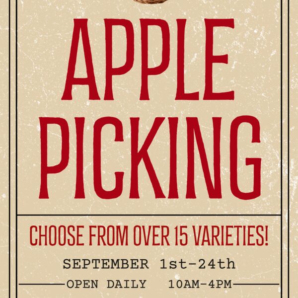 20x40 46# Bond Paper Thumbnail