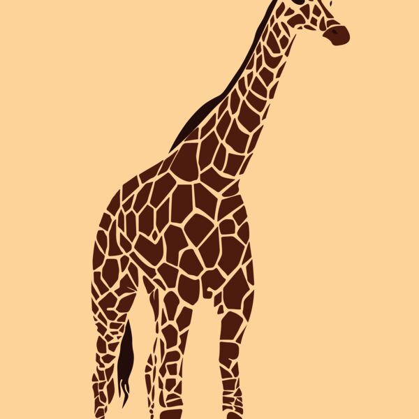 24x48 46# Bond Paper Thumbnail