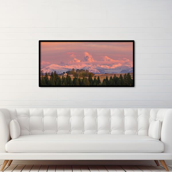 25x50 Photo Print Thumbnail