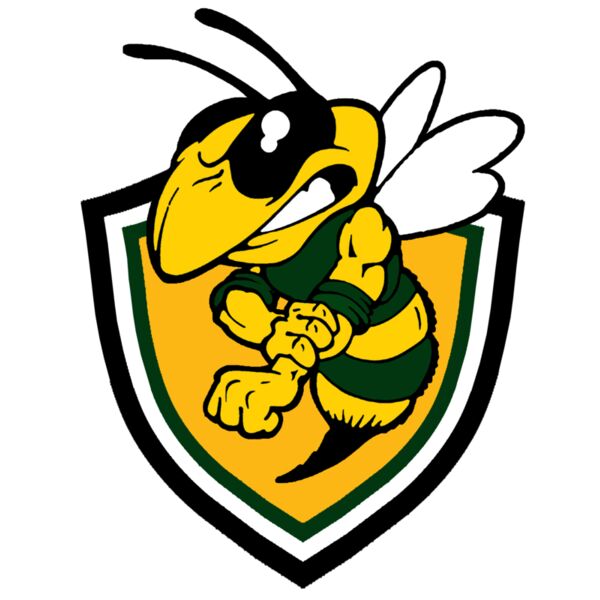 Stinger logo Thumbnail