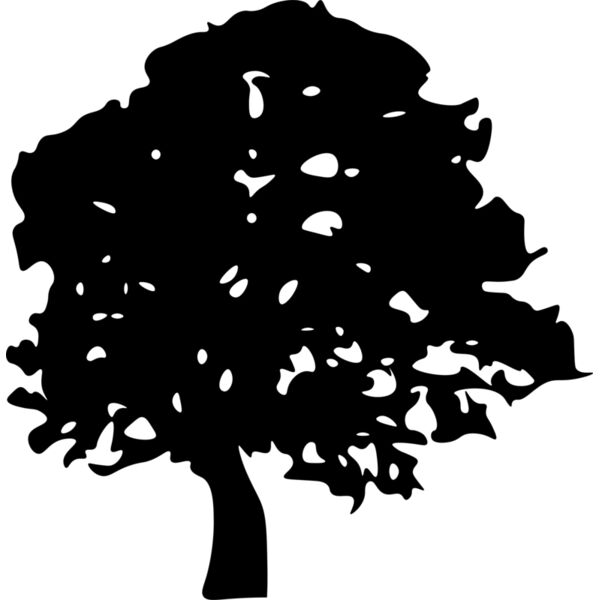 tree 6 Thumbnail