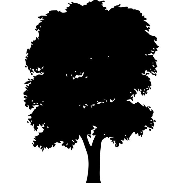 tree 7 Thumbnail